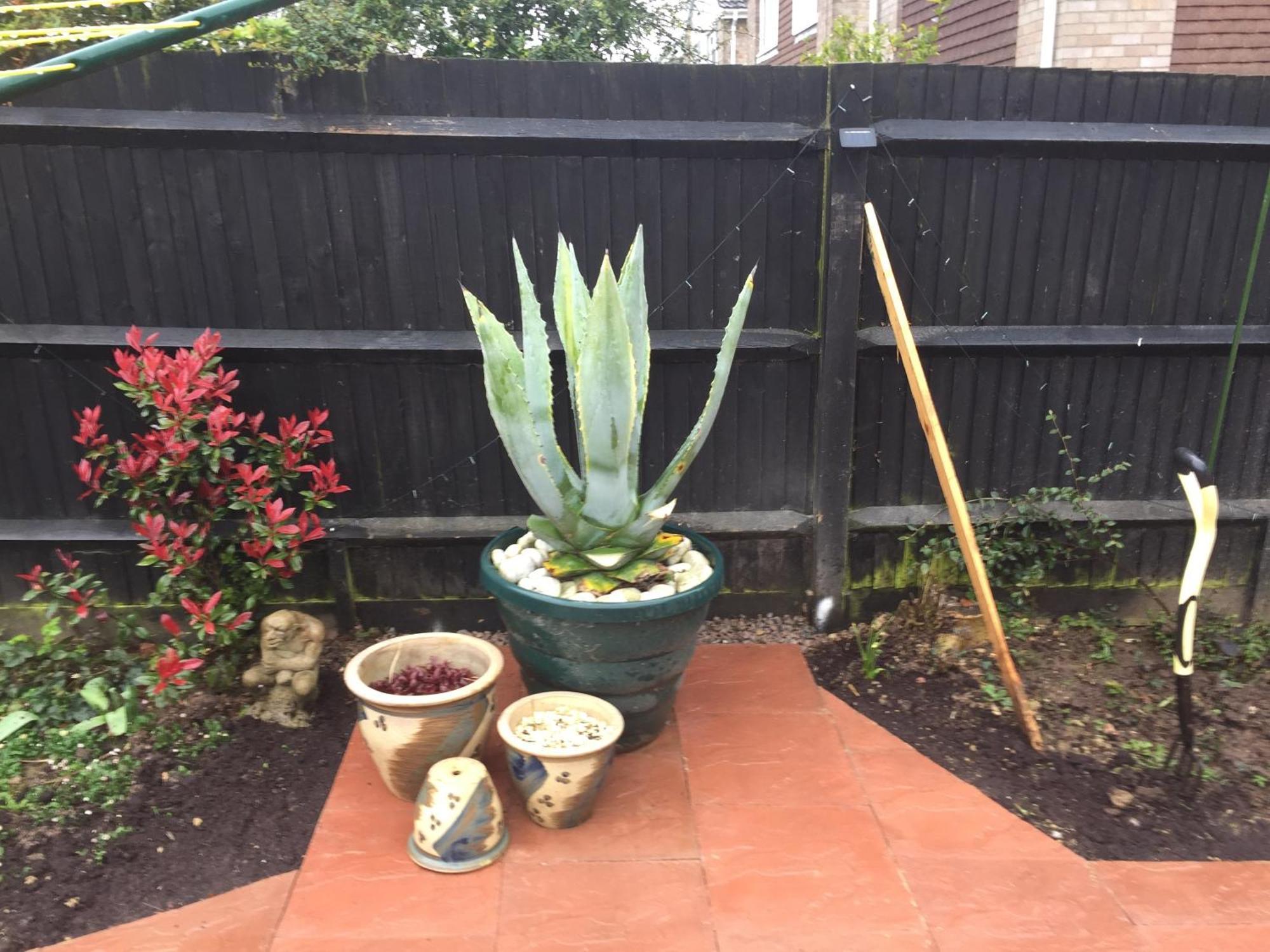 Basingstoke En Suite Room In Garden Annex Екстериор снимка