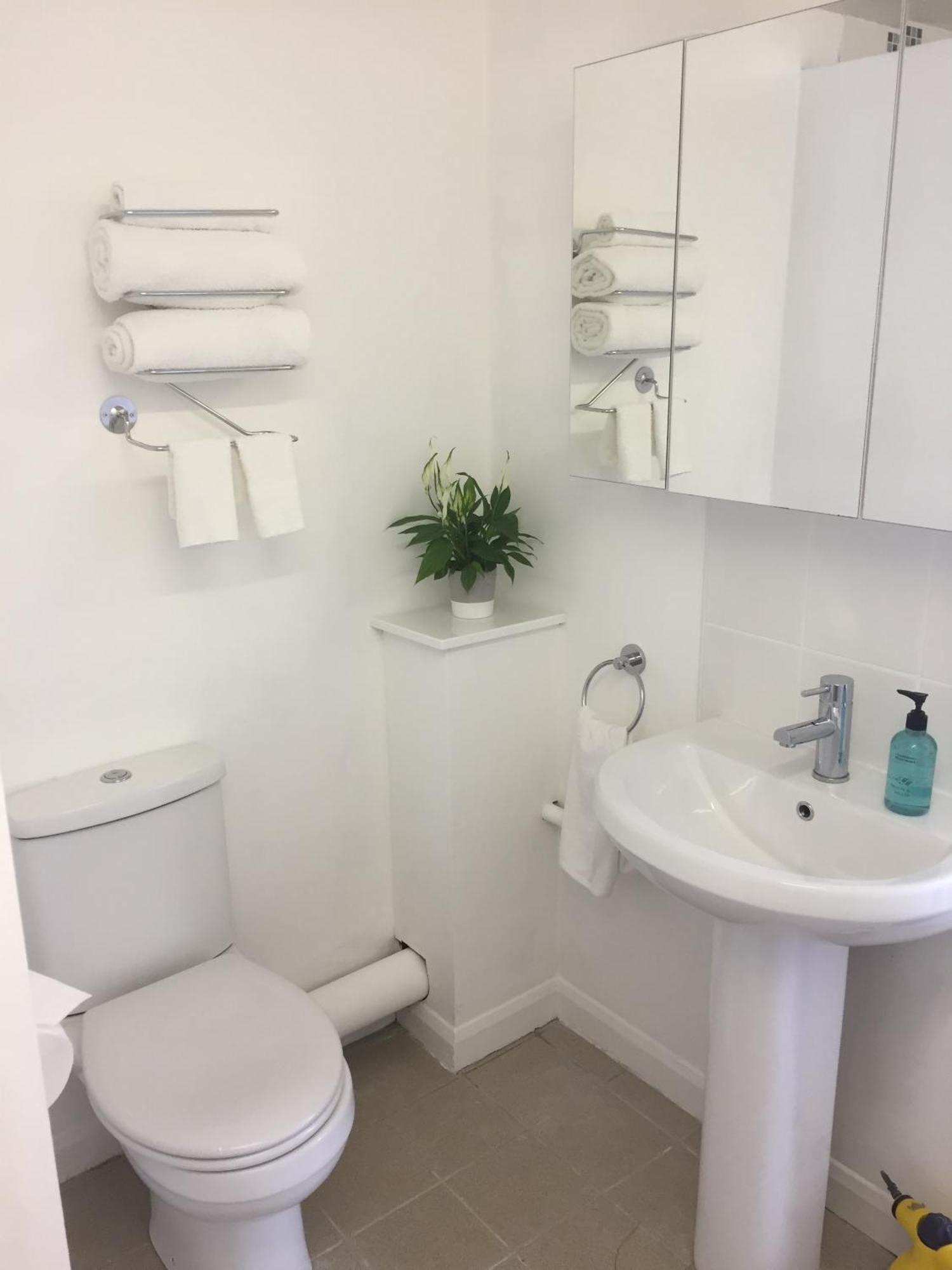 Basingstoke En Suite Room In Garden Annex Екстериор снимка